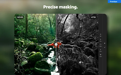 lightroom premium mod apk download ,